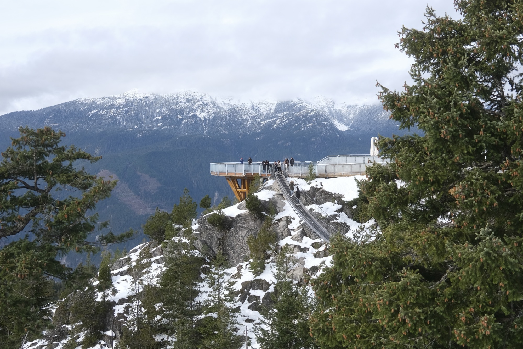 View of harbour and mountains from top of Sea to Sky gondola.