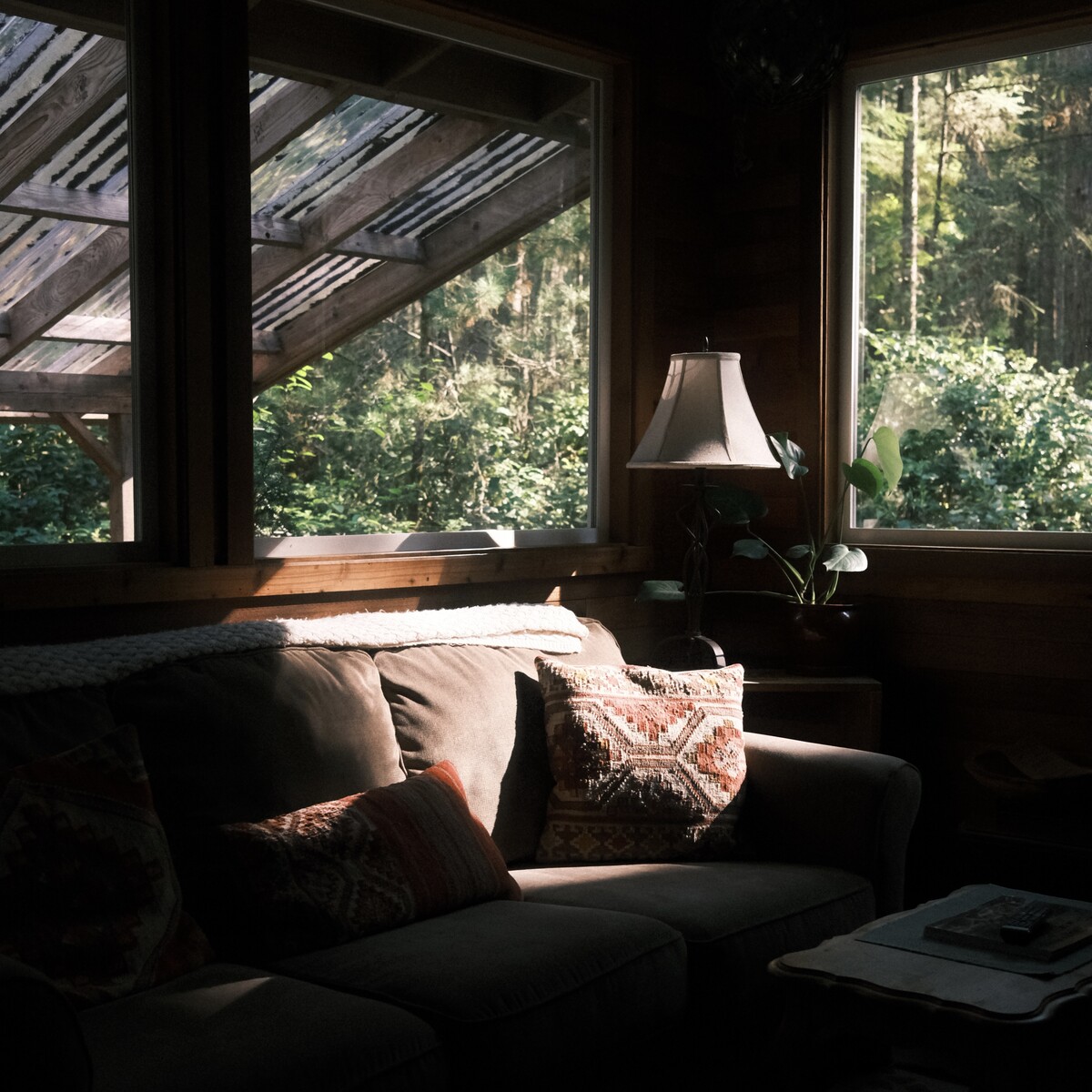 A photo from inside a cabin with greenery in the background.